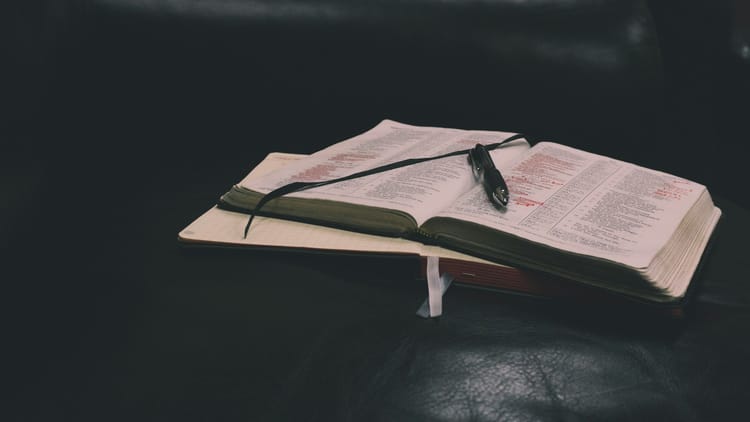 Healing Through His Wounds
