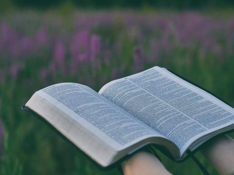 Verses for Healing: Finding Life in God's Words
