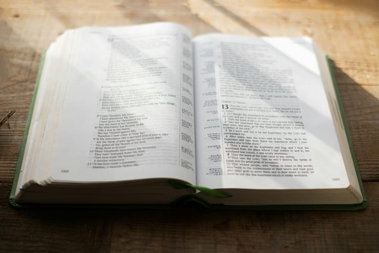 The Lord Will Strengthen Him on His Bed of Illness