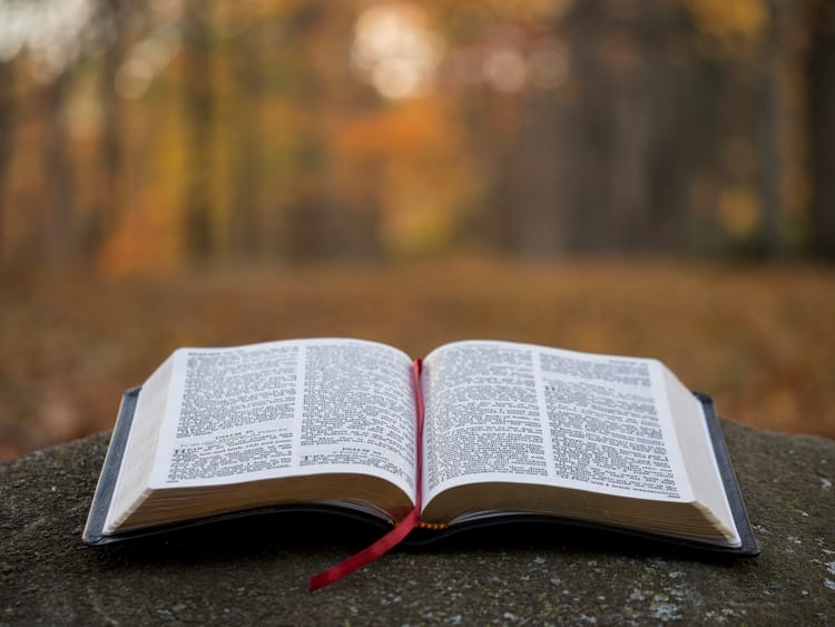 Healing in the Marketplace: Finding Comfort in God’s Presence