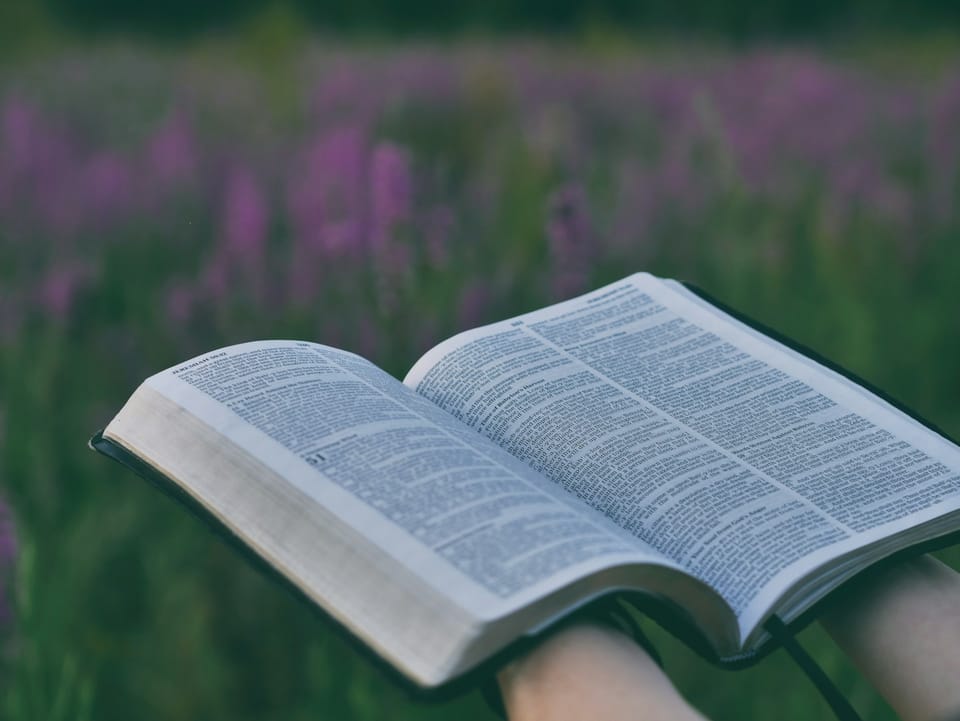 Verses for Healing: Finding Life in God's Words