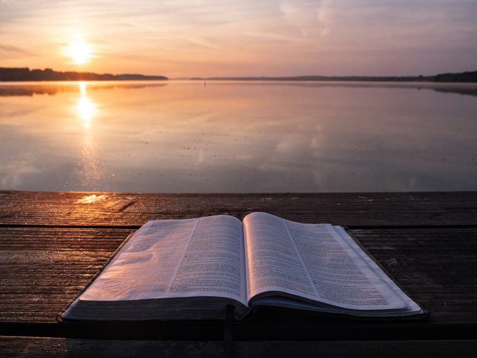 Finding Healing in Brokenness