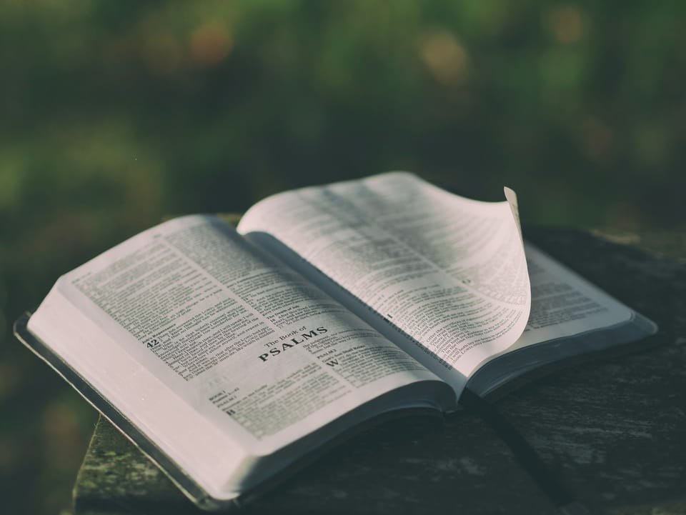The Lord Gives and Takes Away: Finding Comfort in His Presence